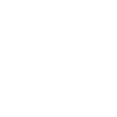 Ticket Guardian